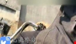 王庄爆料二虎事件视频播放,二虎事件视频引发热议，真相究竟如何？