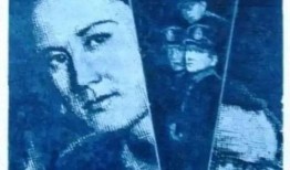 电影蓝色档案在线观看,揭秘神秘事件的惊心动魄之旅