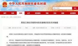 泰州今日爆料最新消息视频,视频揭秘今日热点事件！