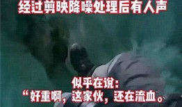 外网爆料暴雪事件视频播放,揭秘背后惊人真相