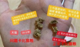 新闻爆料毒猫粮,宠物食品安全问题亟待解决