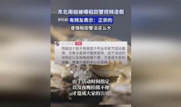 盘锦网友爆料视频最新版