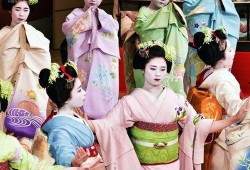 日本舞伎爆料视频大全,独家爆料视频大全幕后真相