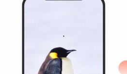 锦州探店爆料视频大全下载,视频大全带你领略美食天堂