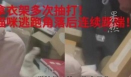 吃瓜最新事件爆料教师视频,吃瓜群众揭秘教育界惊人内幕