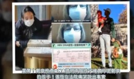 今日头条张恒爆料视频下载,揭秘娱乐圈惊人内幕