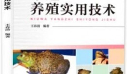 牛蛙饲养爆料视频大全集,揭秘视频大全集精华汇总