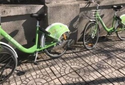 天津自行车爆料视频大全,揭秘行业风云与传奇故事