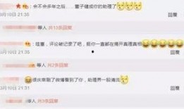 娱乐大爆料主页官网下载,官网下载揭秘，热门资讯一手掌握