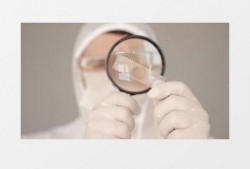 放大镜最新爆料视频下载,视频内容深度解析