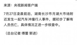 长沙最新事件爆料信息查询,揭秘XX真相，引发社会广泛关注