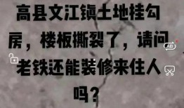 汝州刘先生最新爆料,最新爆料事件背后的惊人真相