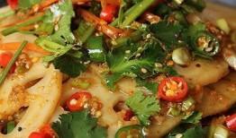 万能凉菜爆料视频大全集,视频大全集深度解析