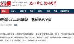 香港最新爆料疫情,揭秘病毒传播与防控措施”