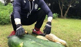 任县大瓜爆料视频,一场引人入胜的真相大揭秘