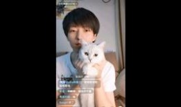 dy在线观看,解锁精彩瞬间，畅享视听盛宴