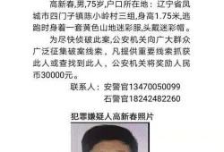 丹东凤城爆料案件最新情况,案情揭秘，疑云逐步揭开