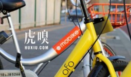 天津自行车爆料视频大全,揭秘行业风云与传奇故事