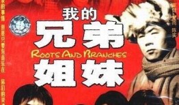 我的兄弟姐妹在线观看,兄弟姐妹共赏美好时光