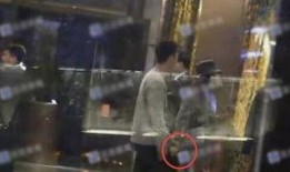 网红湾湾爆料与娱乐圈,娱乐圈幕后真相大揭秘