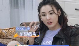 张柏芝大儿子爆料视频,揭秘母亲辛酸历程