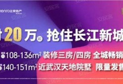 武汉热点新闻爆料事件,揭秘XX事件背后的真相与影响