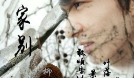 柳下惠在线观看,穿越时空的智慧传奇，在线观看带你领略古代圣贤风采