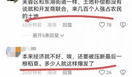 长沙最新事件爆料信息查询,揭秘XX真相，引发社会广泛关注