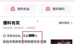 今日头条热搜爆料视频,揭秘惊人内幕，视频内容引发热议！